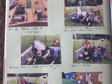 Argo Stables goes to The Show!