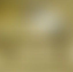 Exemples d'utilisations de l'hélipix