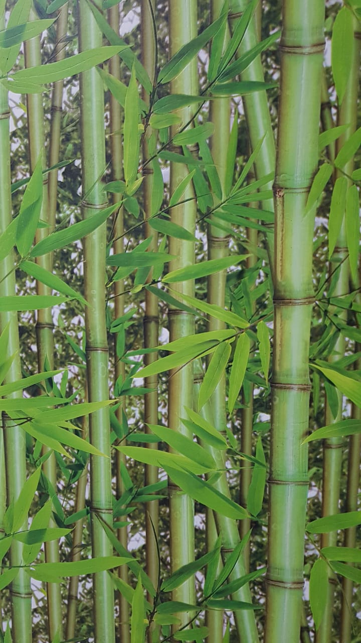 Papel de parede  - Replik Bambu — foto 4