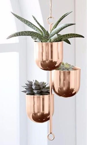 Decorative Copper Plant Pots for Christmas!
