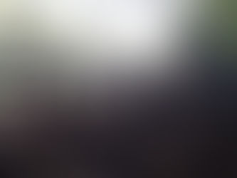 moor movement für‘s Klima