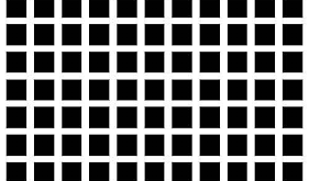 우리 눈이 바보여서가 아니라 똑똑하기 때문에 착시가 생긴다고?