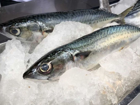 Semana Santa: recomendaciones para no intoxicarte por comer pescado
