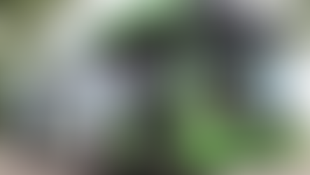 รถเมล์ไฟฟ้าจีน BYD ช่วยแก้ปัญหาเดินทางให้คนอินเดีย