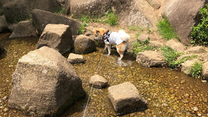 大キライだった水遊び(埼玉県蕨市)