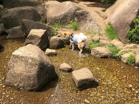大キライだった水遊び(埼玉県蕨市)