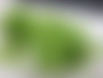 春の壁画完成!~麻姑の小町伊島~