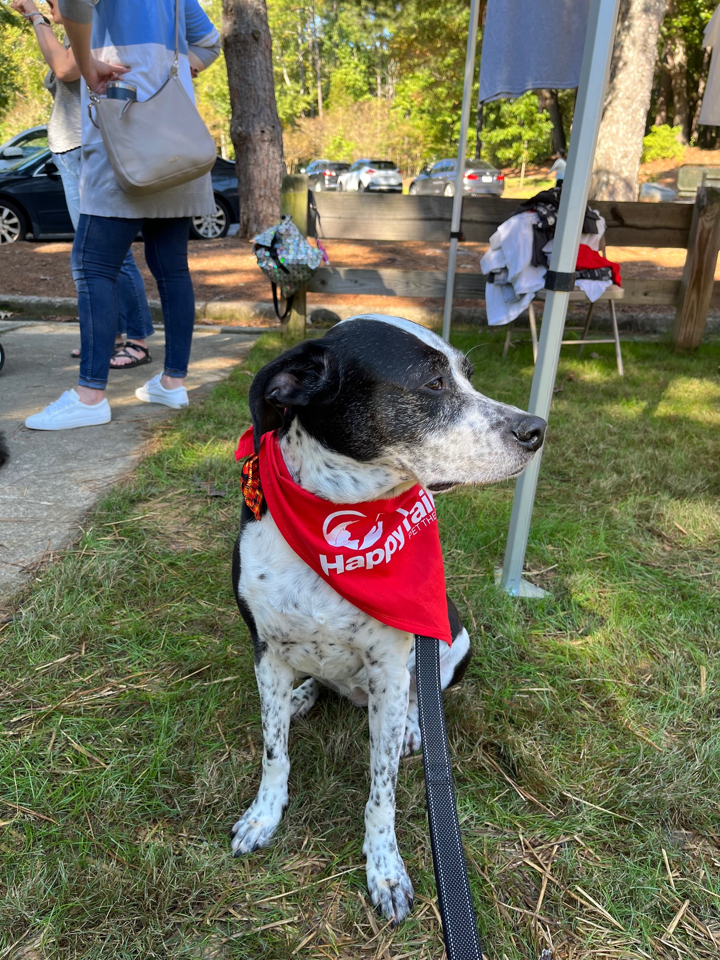 New member In Dunwoody content media