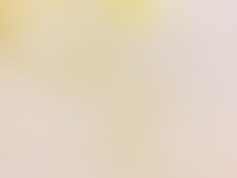 はちみつについて