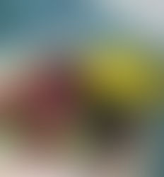 Prepara esta alternativa receta de 'Crema de Ahuyama