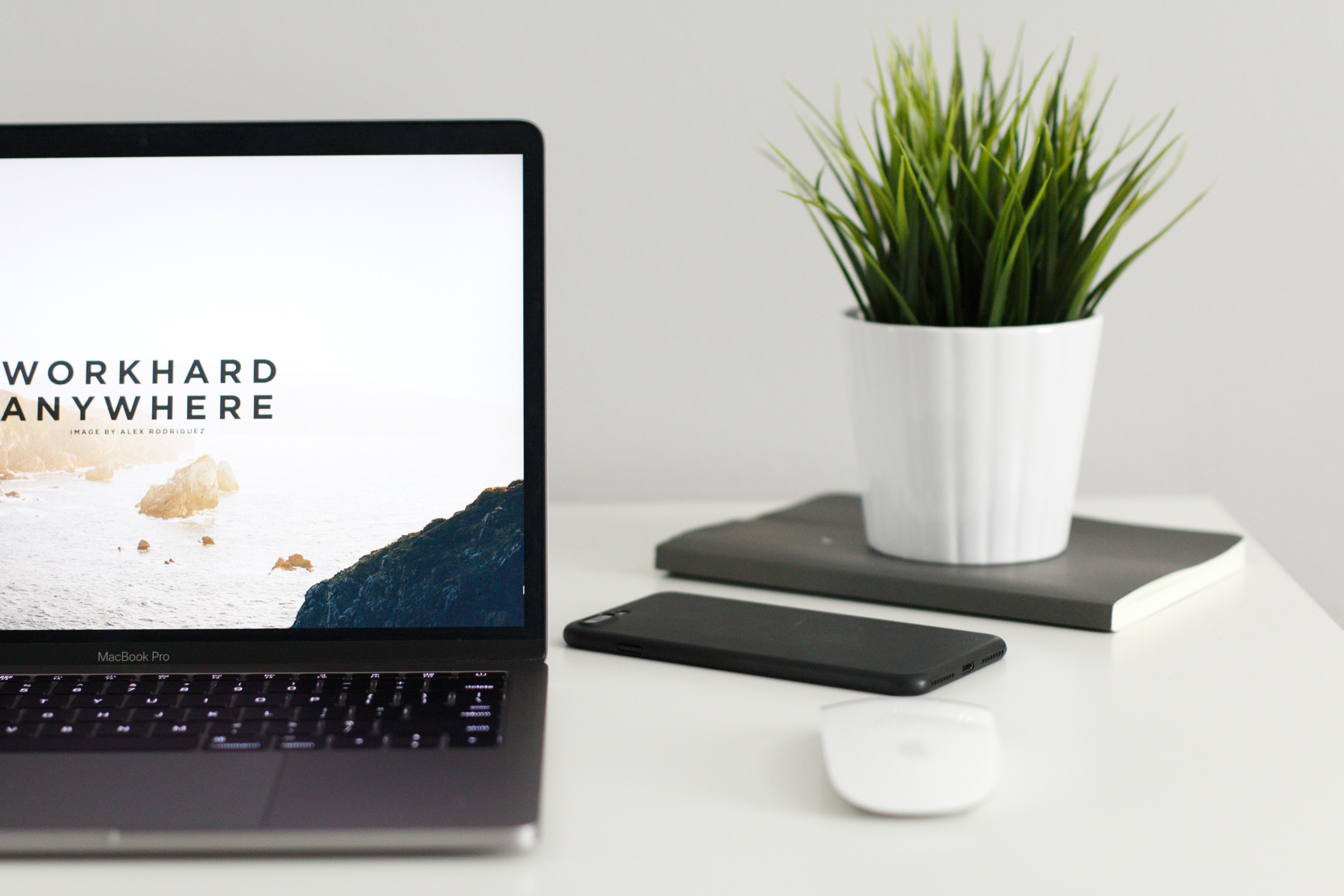 How much does it cost to get my business licence? content media