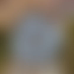 Champs-Élysées Apple Mağazası: Tarih ve Teknolojinin Zarif Uyumu