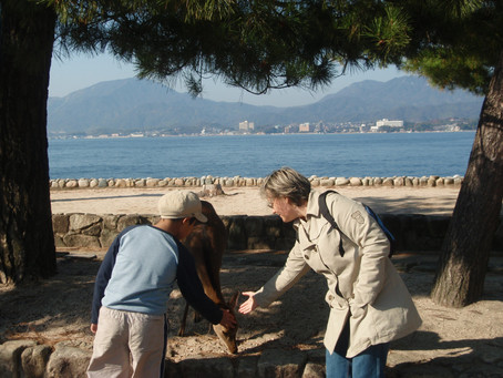 THE EIGHTH DAY IN JAPAN