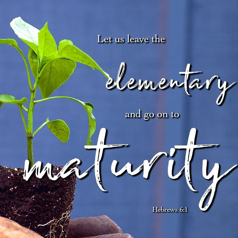 PART 2: LET'S GO TO THE NEXT STEP: SPIRITUAL MATURITY
"LEAVING CHRIST'S BASIC TEACHING" (Hebrews 6:1) content media
