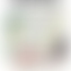 L'écologie punitive, une idée reçue !