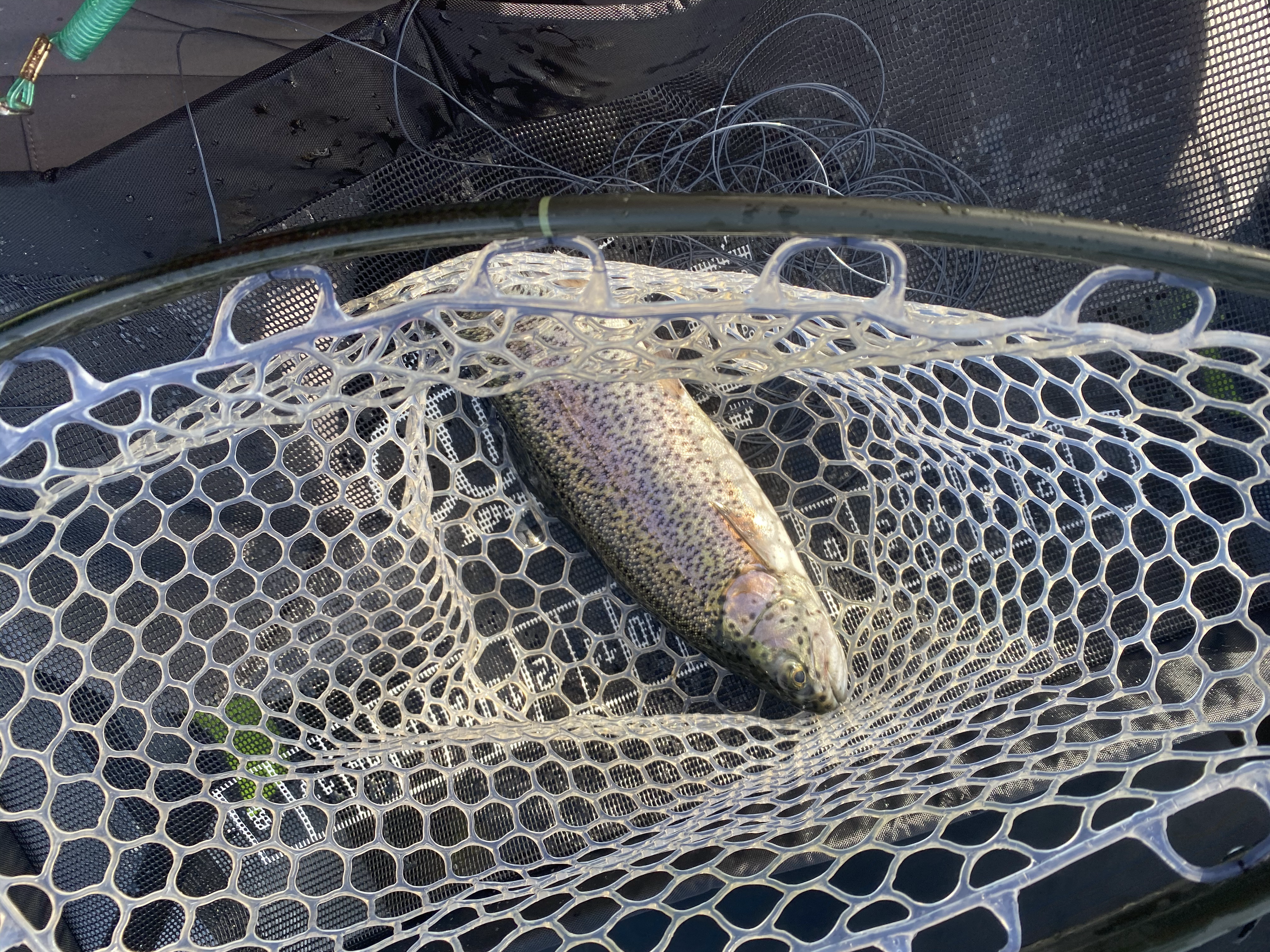 Cranberry Lake - 11/29/20 content media