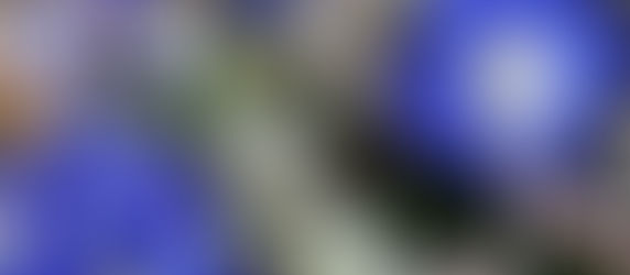 暖かな土曜日