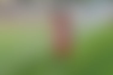 Highlander Invite: Big Statement Win From Riverside's Distel