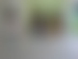 MARCAS AND SYKER 2014