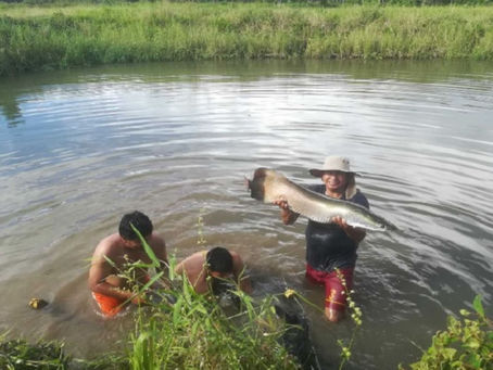 Mesa técnica impulsará producción de pesca artesanal en Ucayali
