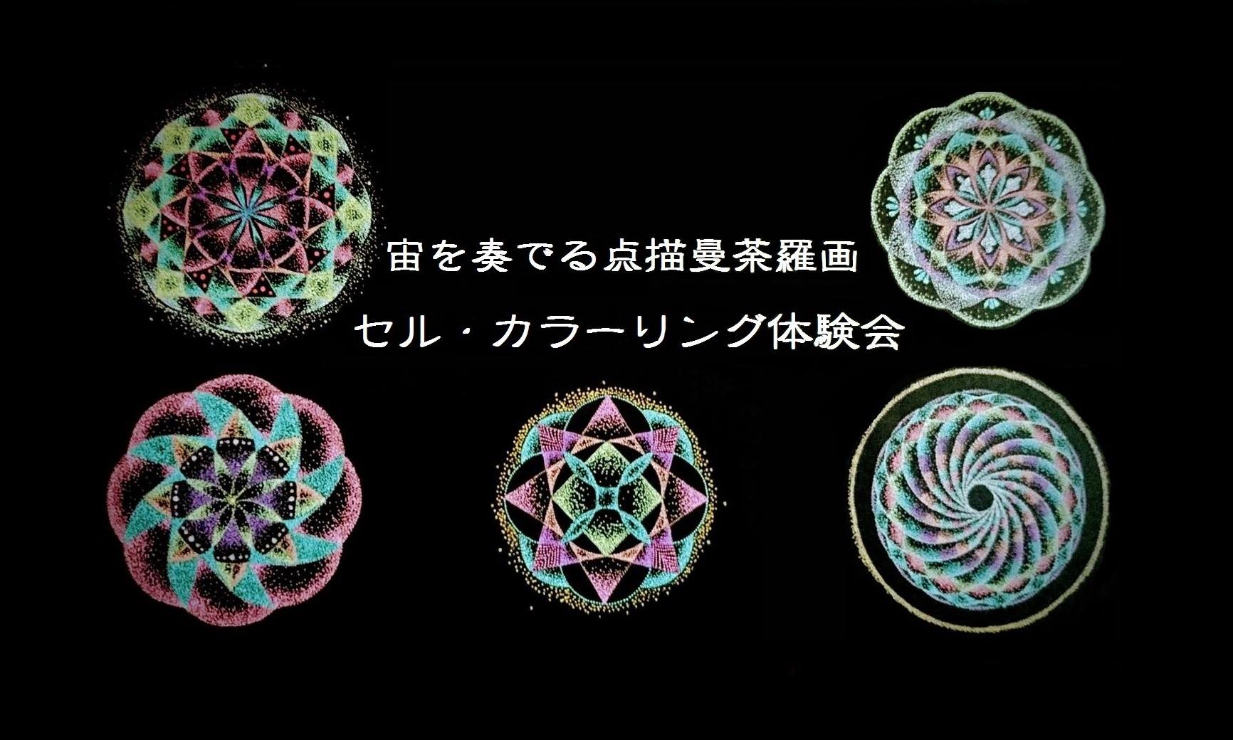 セル・カラーリング体験会のお知らせ content media