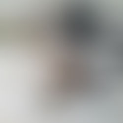 Richard Heintz, Le Pont de Lesse (1919), Historique Facebook et Collection Jean Walthéry