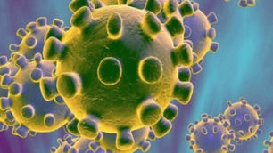 Prefeitura registra mais de 600 casos confirmados de coronavírus em Irecê.