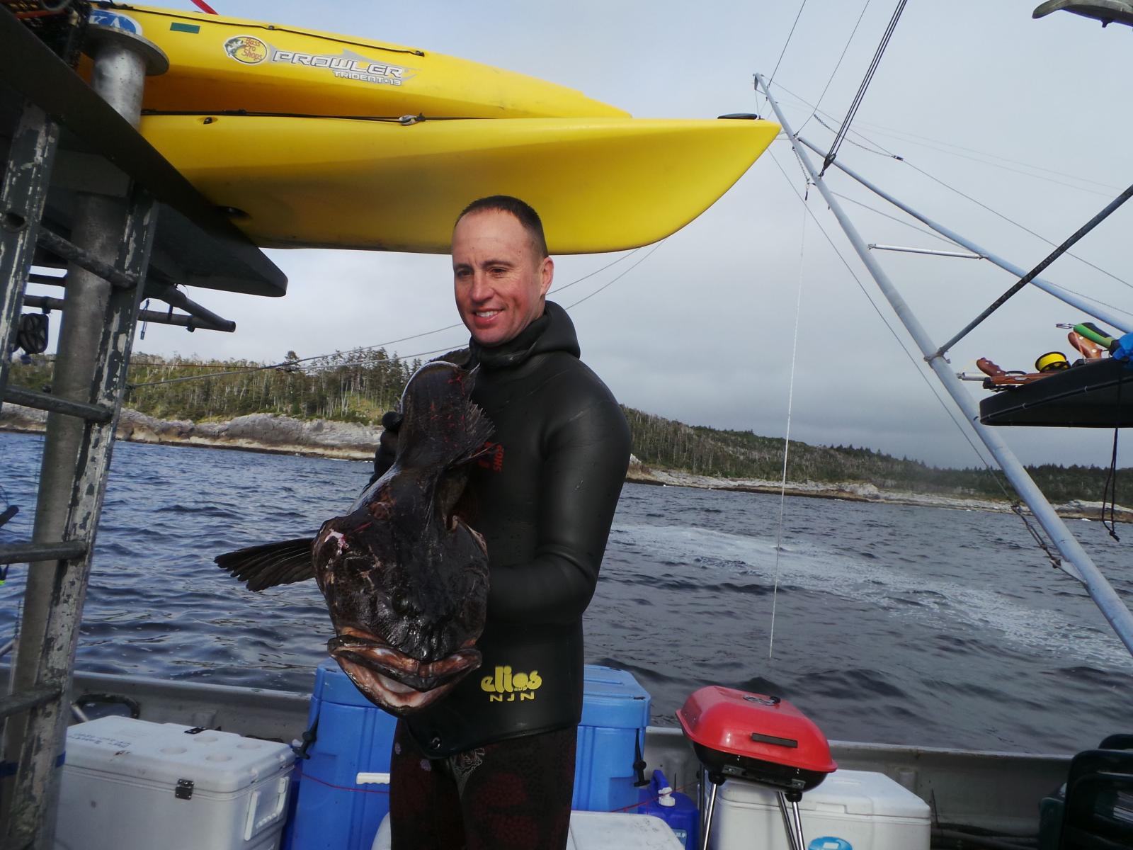 ALASKA - Expedition with the Freedive Shop content media