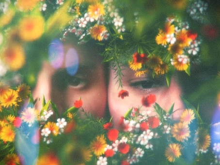 SINGLE REVIEW: The Front Bottoms - Everyone Blooms