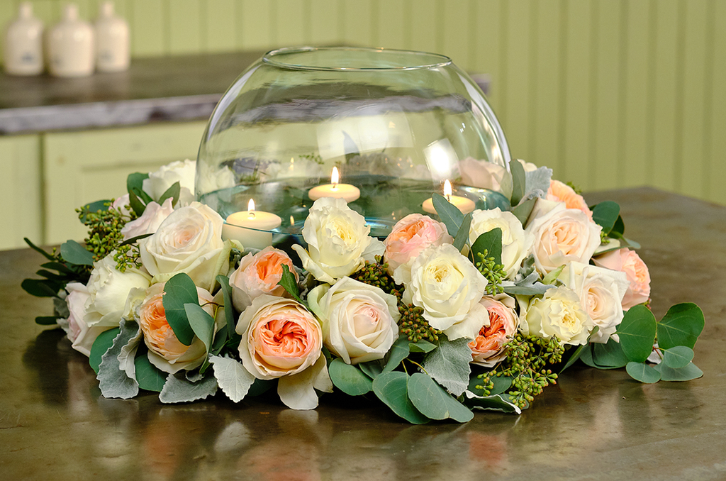 Garden Roses / Colombia / Alexandra Farms