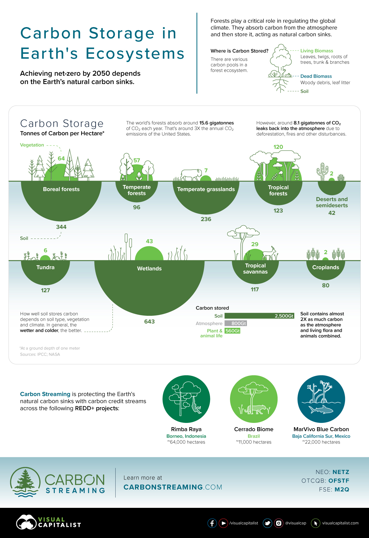 Visualizando o armazenamento de carbono nos ecossistemas da Terra content media