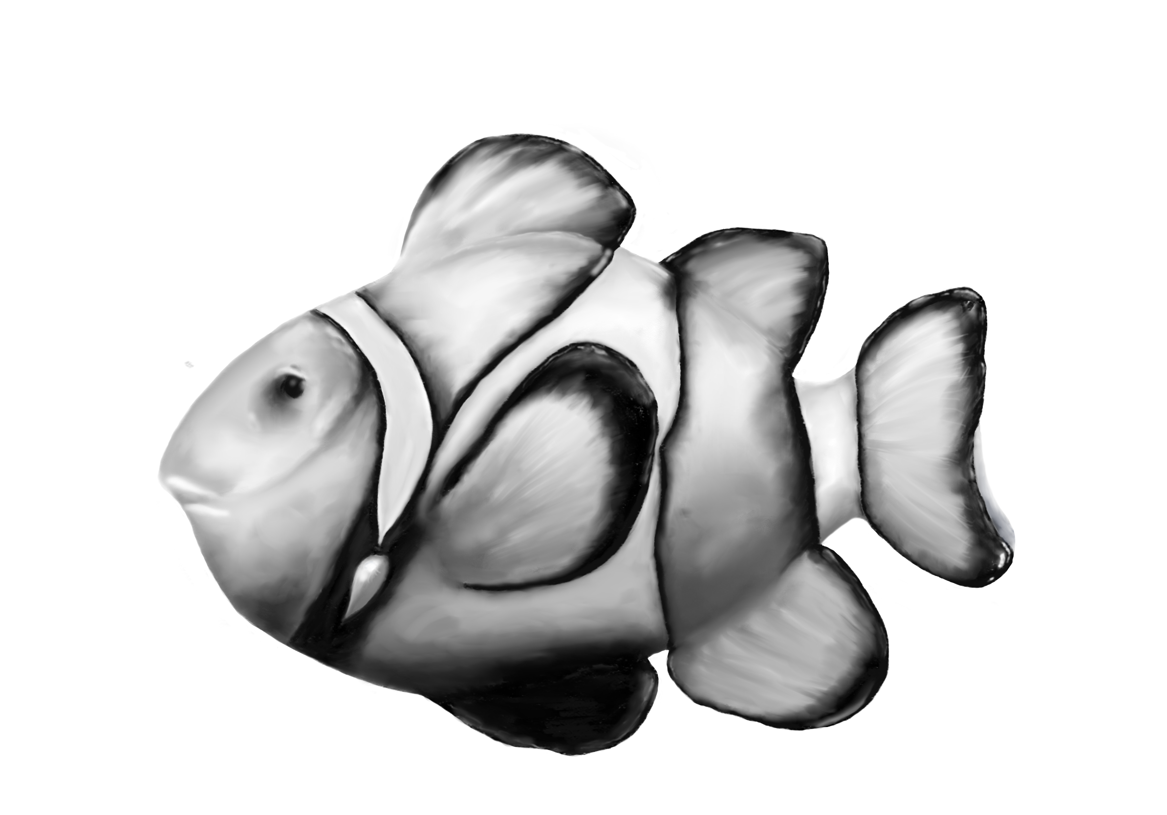 Fisch content media