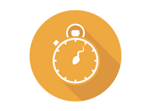 The Sperm Life Cycle 