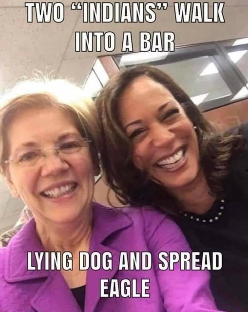 Two Indians walk into a bar lying dog & spread eagle