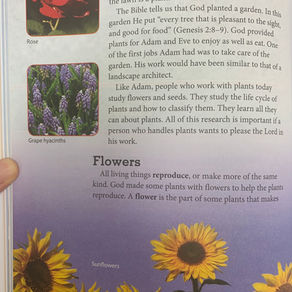 Science: Flower Textbook Readings
