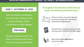 Carp Removal in Lake Allegan