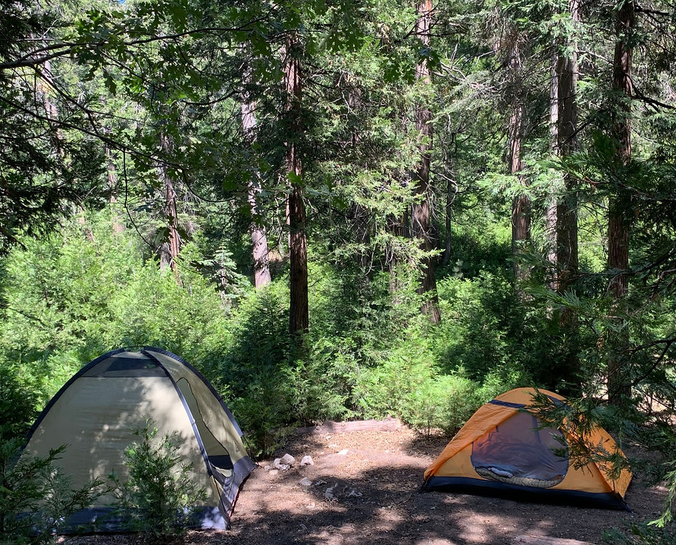 Dogwood Campground near Lake Arrowhead