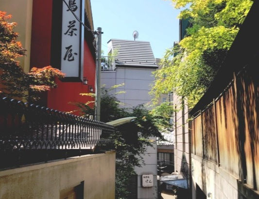 Tokyo: A Fifteen Year Reunion