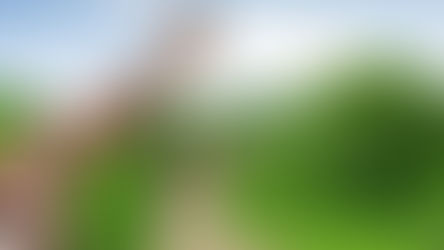 Растрогалась до слёз