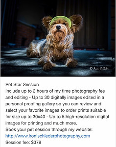 Pet life style