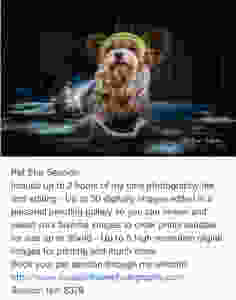 Pet life style