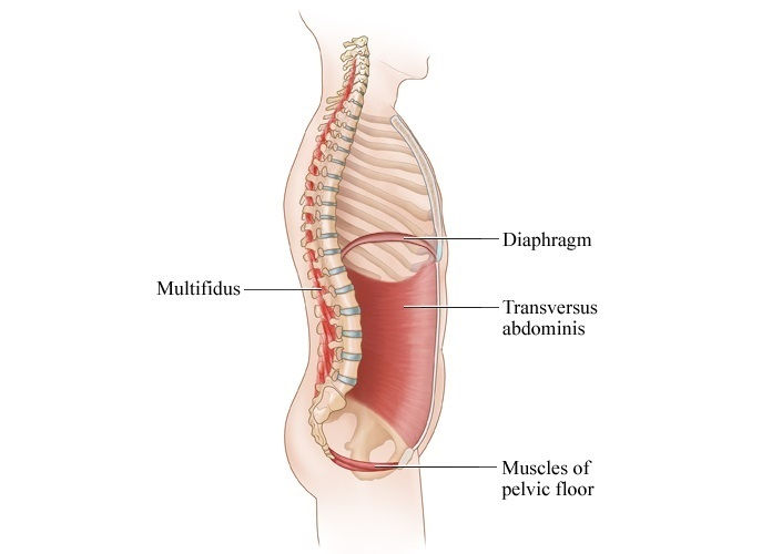 Intraabdominal Pressure (IAP)