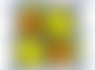 우리학교의 랩들을 살펴보자!! 1편-최은영 선생님 랩