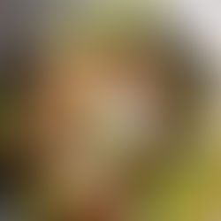 Pancetta Bacon Recipe