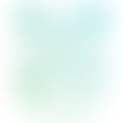 リニューアル