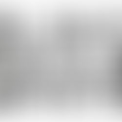 Has SU done enough for Black History Month?