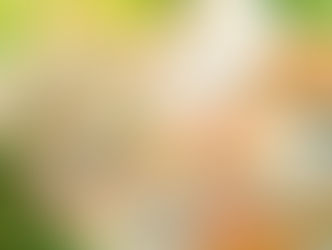 สลัดโรลเวียดนาม