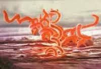 ree