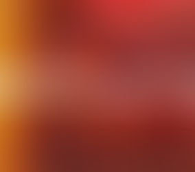 Revolución Vinotinto, más allá de las tribunas 