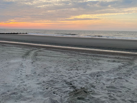 Multiple Momma Monday